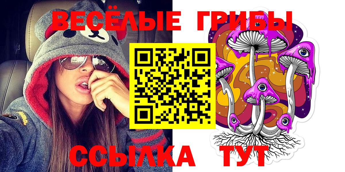 Псилоцибиновые грибы Psilocybe Котовск